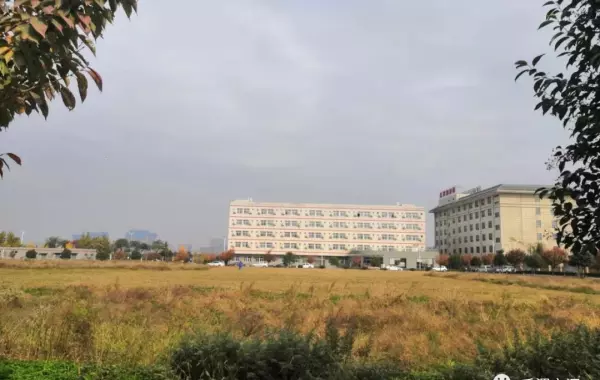 前进家具厂家在哪里(72)