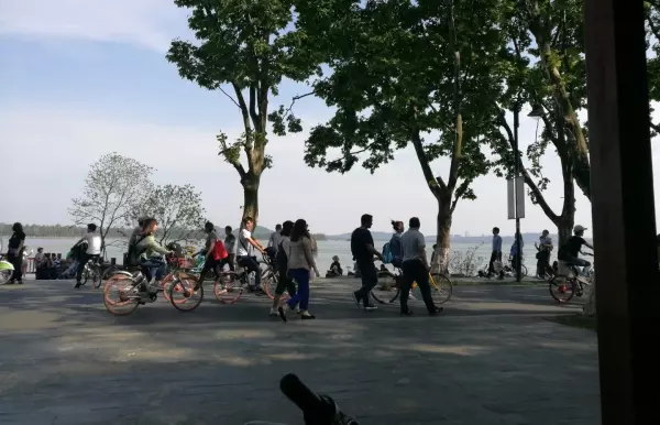 东湖景园a区属于哪个街道(2)