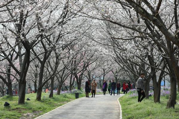 东湖景园a区属于哪个街道.