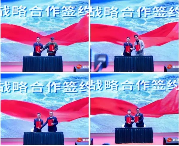 新恒隆陶瓷是大厂还是小厂(14)