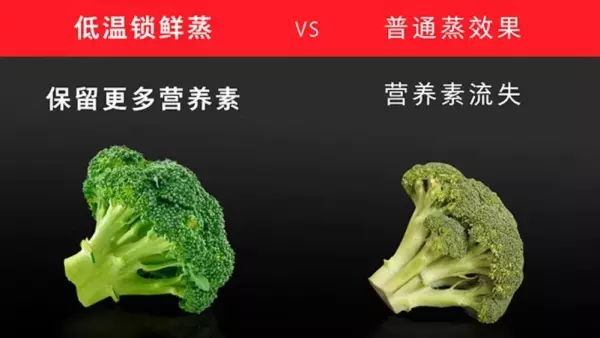 过热水蒸汽是蒸还是烤(10)