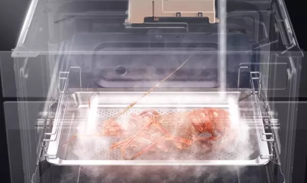 过热水蒸汽是蒸还是烤(5)