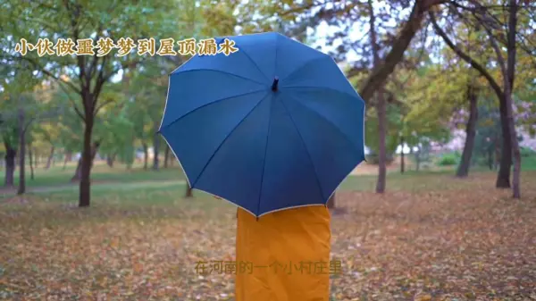 梦见房顶漏水寓意是吉兆还是凶兆(1)