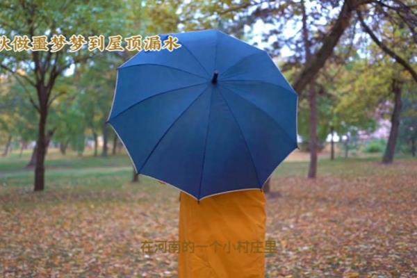 梦见房顶漏水寓意是吉兆还是凶兆.