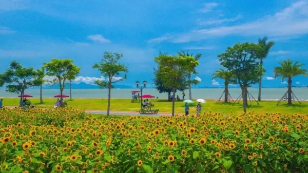 金钟花园背靠板障山是哪一栋(11)
