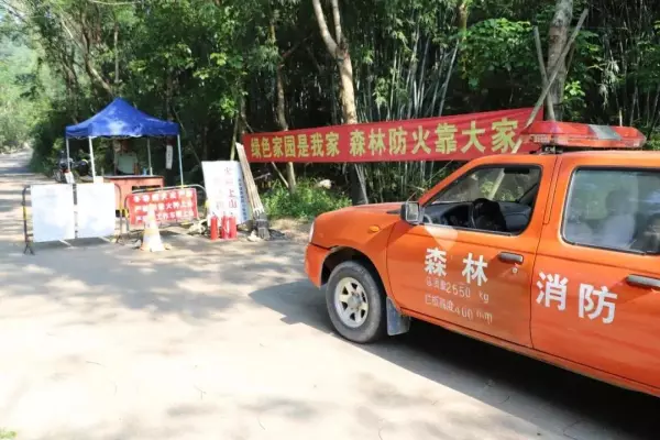 金钟花园背靠板障山是哪一栋(17)