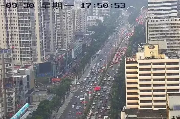 金钟花园背靠板障山是哪一栋(5)