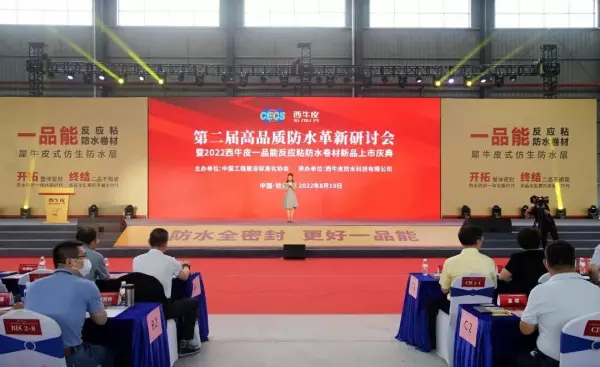 西牛皮自粘防水卷材价格(1)