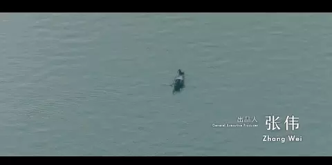 重庆五小区150的爱情在哪里(17)