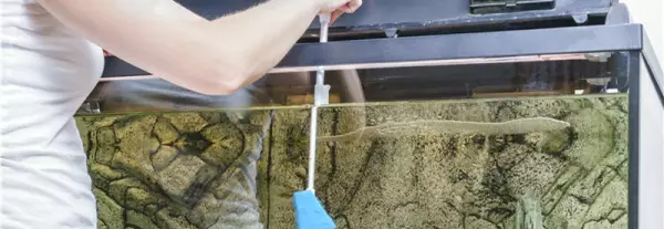 热弯浮法玻璃鱼缸质量好吗(1)