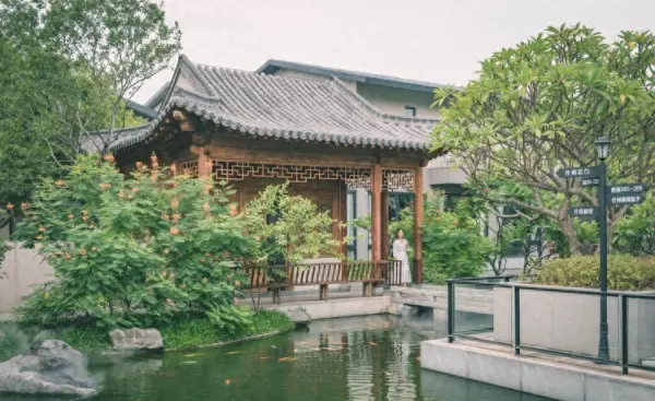 诗意的栖居议论文800字安得广厦千万间(1)