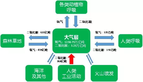 40l二氧化碳是多少斤(17)