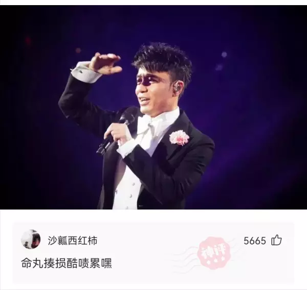 RTV是什么场所(10)