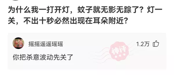 RTV是什么场所(13)