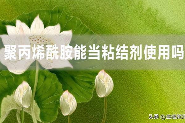 粘合剂配方加聚丙烯酰胺好不好.