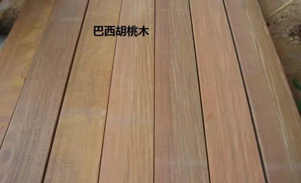 黄金胡桃木和北美黑胡桃木哪个好(8)