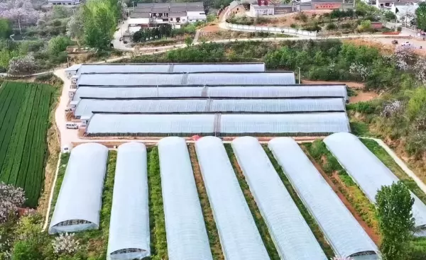 日照间距计算公式在哪个规范出现(4)