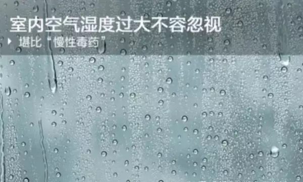 空气湿度多少为最佳温度(3)