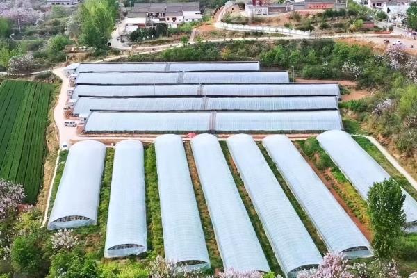 日照间距计算公式在哪个规范出现.