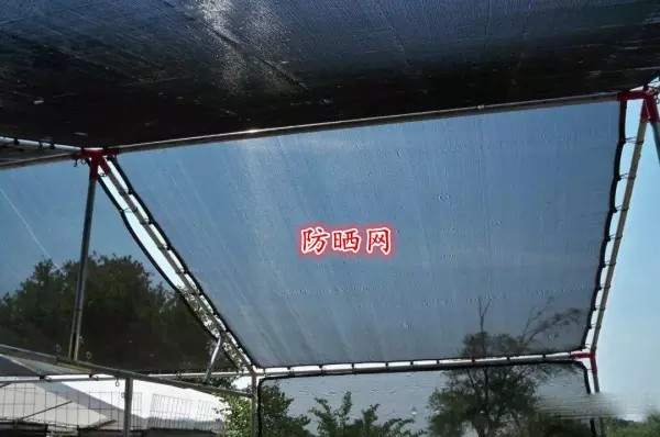 楼顶隔热层怎么做比较经济最好(2)