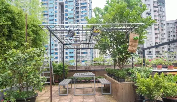 楼顶隔热层怎么做比较经济最好(7)