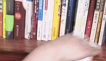 衣柜对着门好吗挂白布好吗(7)