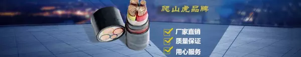 电源线型号240是什么意思(2)