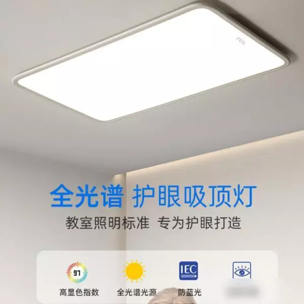 灯具什么牌子好灯具十大品牌(13)