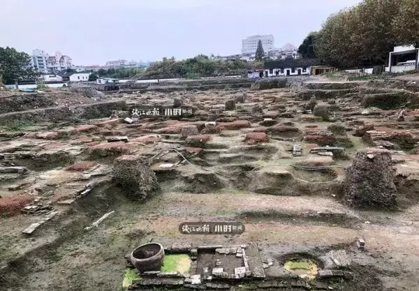拔粪宝怎么通马桶(11)