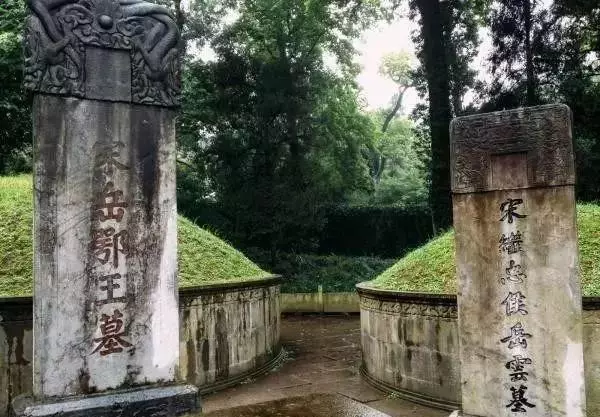 拔粪宝怎么通马桶(16)