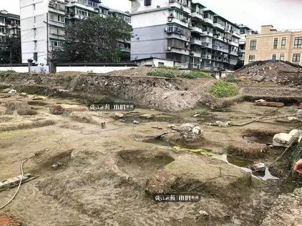 拔粪宝怎么通马桶(2)