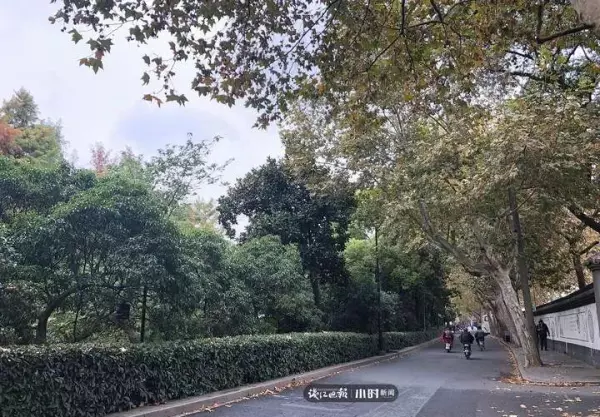 拔粪宝怎么通马桶(4)