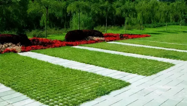 硬化地面透水铺装是指道路、广场等硬化地面的透水构造。对错(3)