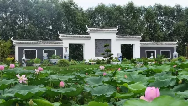 胜芳家具批发市场和香河哪个好(14)