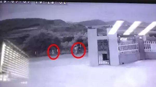 湿活4海岸线房客名单在哪(5)