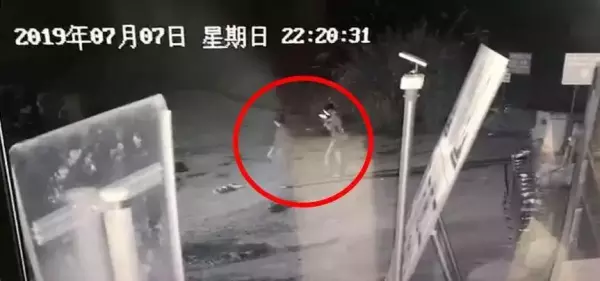 湿活4海岸线房客名单在哪(6)