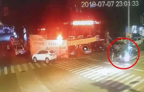 湿活4海岸线房客名单在哪(7)