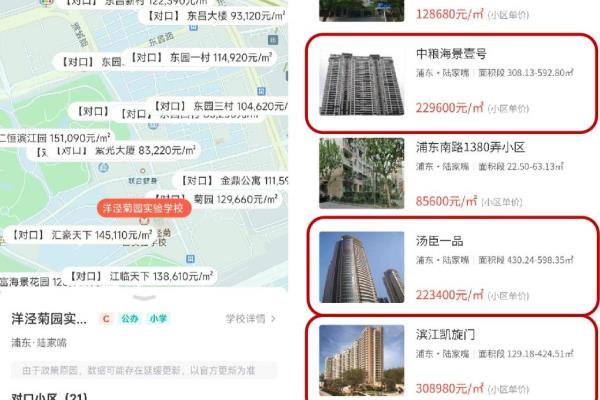 洋泾菊园实验学校是公办还是民办.