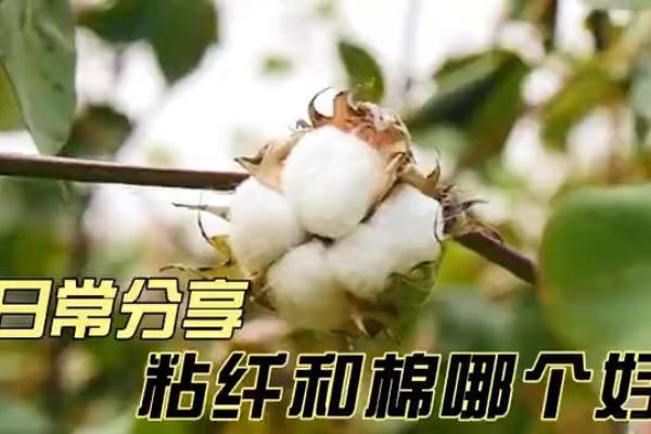 95粘纤5氨纶和100纯棉哪个好.