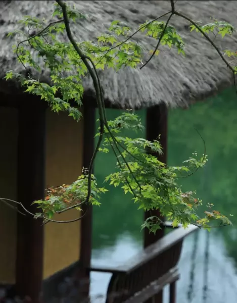 成都花园房在成都哪里(3)