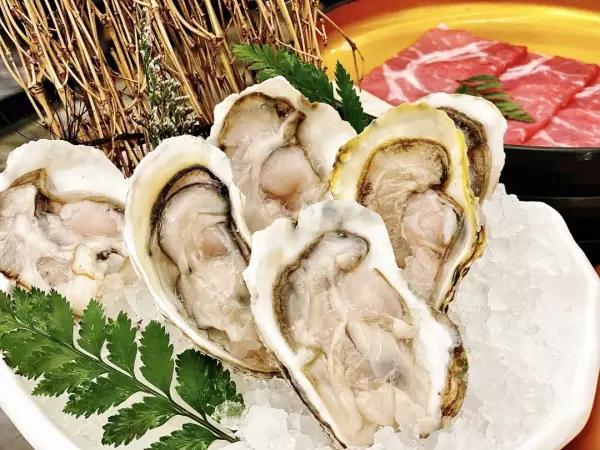 sukiyaki日语什么意思(14)