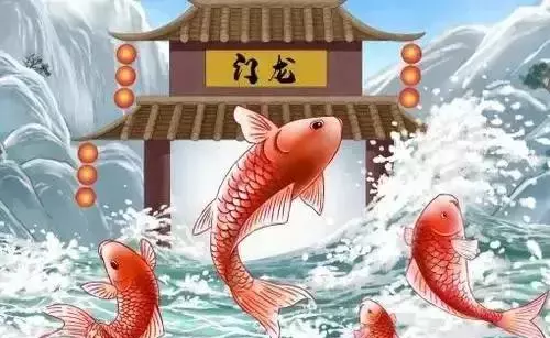 连年有余的意思(17)