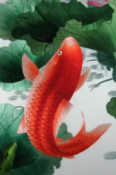 连年有余的意思(1)