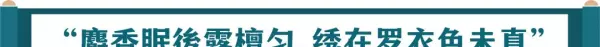 龙脑香与龙涎香的区别(15)