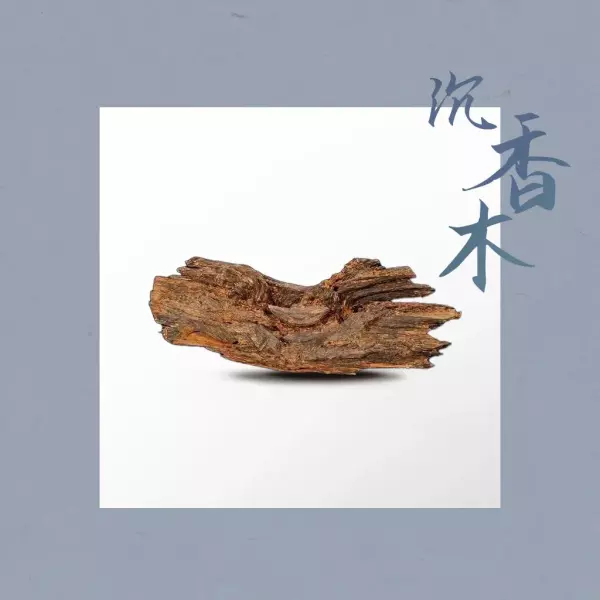 龙脑香与龙涎香的区别(4)