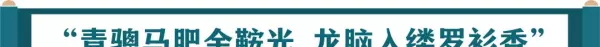 龙脑香与龙涎香的区别(9)