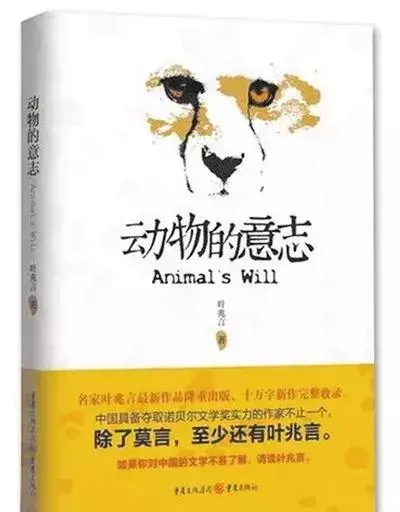 书的腰封有必要留着吗(12)