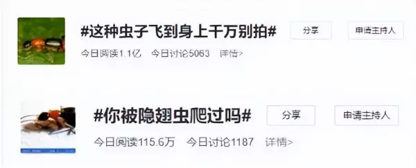 蛾蚋会吸血吗会咬人吗(1)