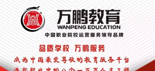 万鹏教育控股集团怎么样(3)