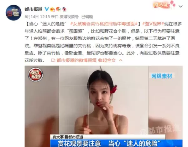 绣球有毒吗 怎样安全观赏和摘取(1)